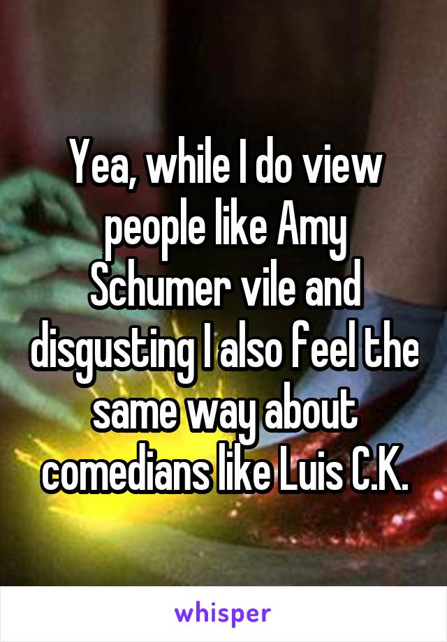 Yea, while I do view people like Amy Schumer vile and disgusting I also feel the same way about comedians like Luis C.K.