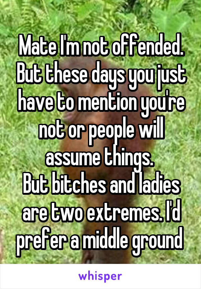 Mate I'm not offended. But these days you just have to mention you're not or people will assume things. 
But bitches and ladies are two extremes. I'd prefer a middle ground 