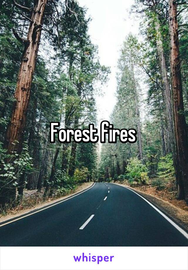 Forest fires 