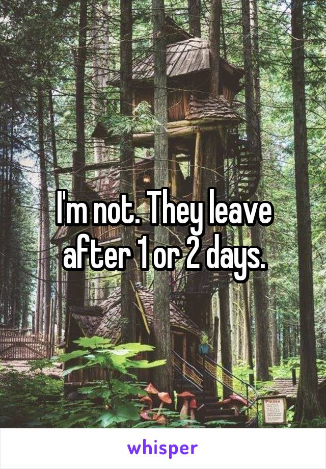 I'm not. They leave after 1 or 2 days.