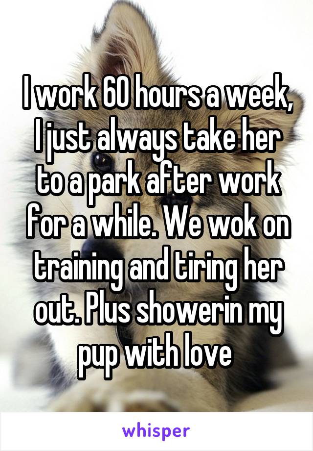 I work 60 hours a week, I just always take her to a park after work for a while. We wok on training and tiring her out. Plus showerin my pup with love 