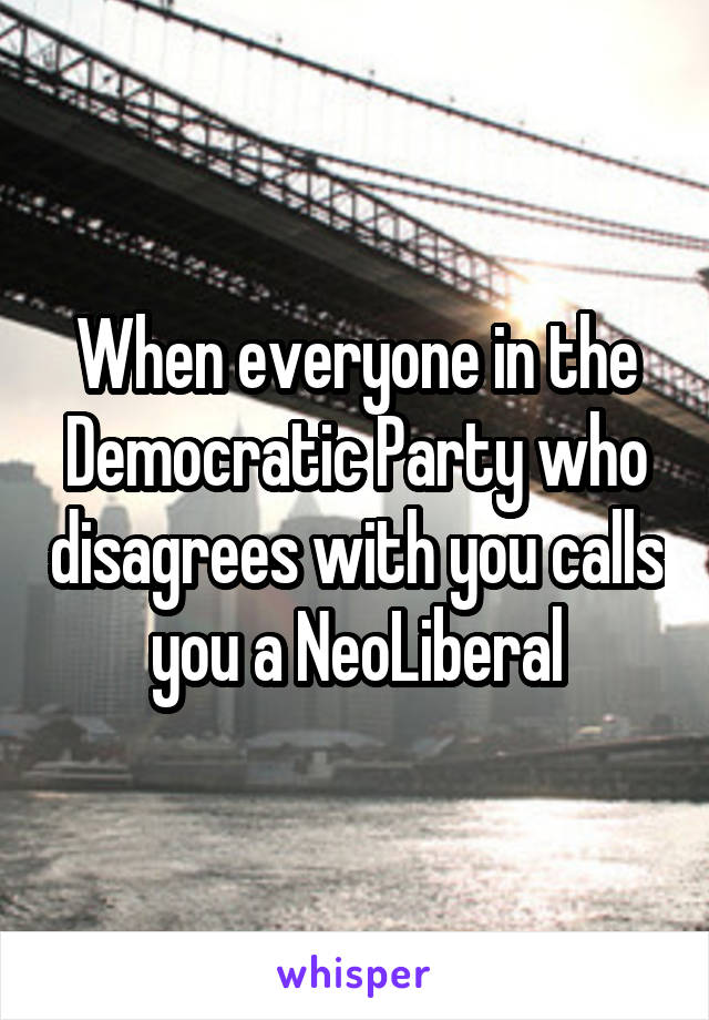 When everyone in the Democratic Party who disagrees with you calls you a NeoLiberal