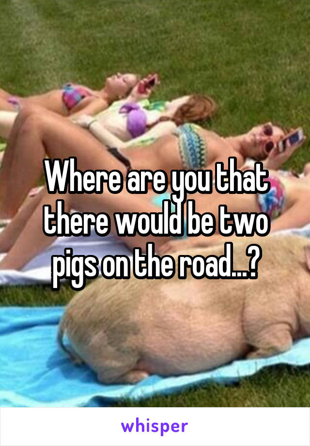 Where are you that there would be two pigs on the road...?