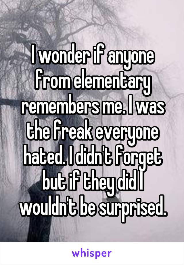 I wonder if anyone from elementary remembers me. I was the freak everyone hated. I didn't forget but if they did I wouldn't be surprised.