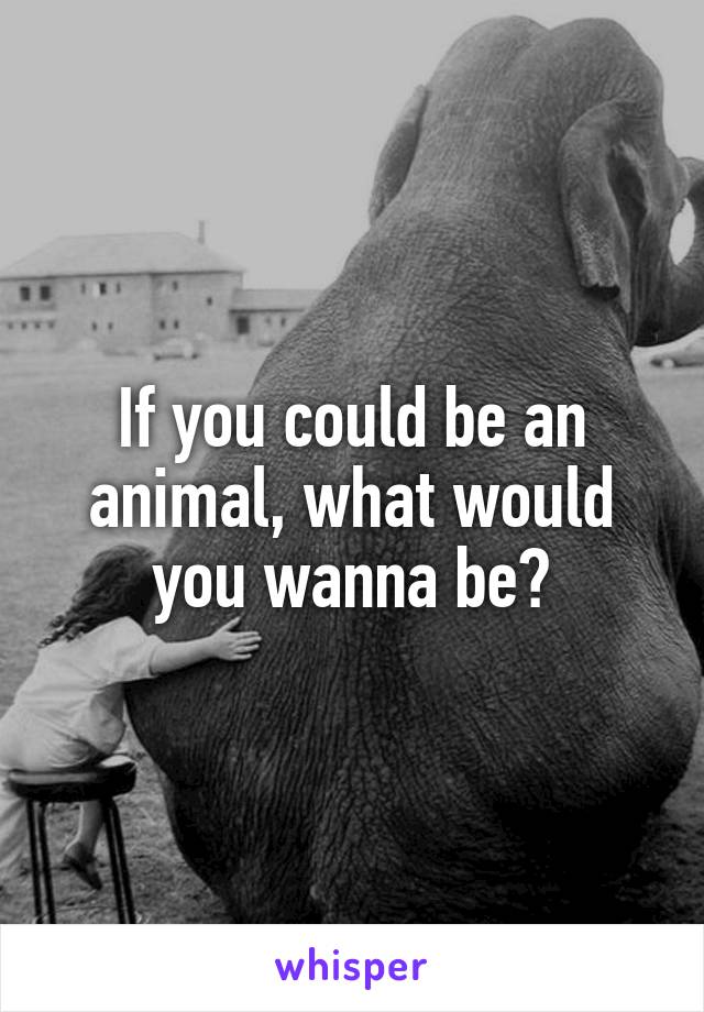 If you could be an animal, what would you wanna be?