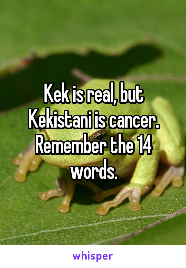 Kek is real, but Kekistani is cancer. Remember the 14 words.