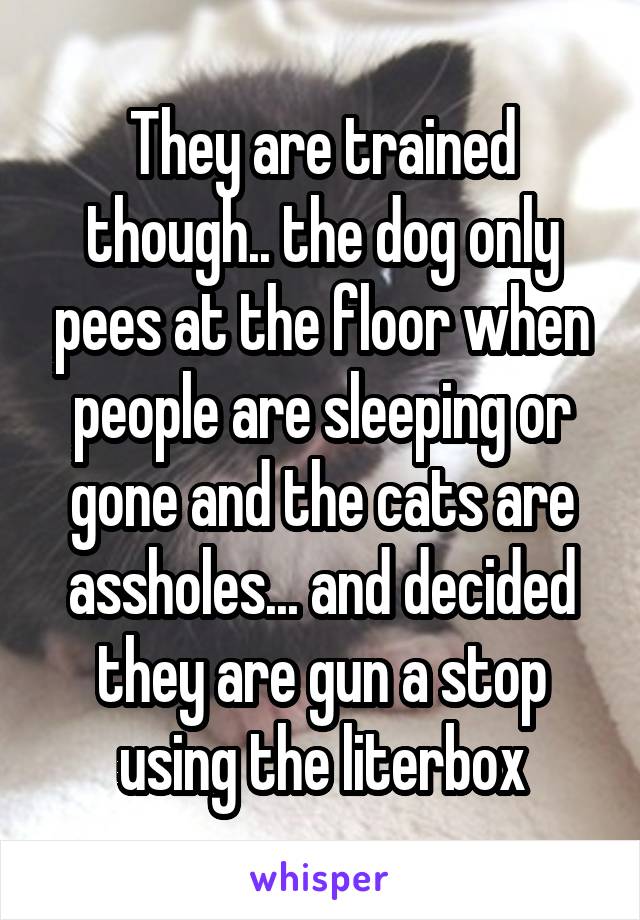 They are trained though.. the dog only pees at the floor when people are sleeping or gone and the cats are assholes... and decided they are gun a stop using the literbox