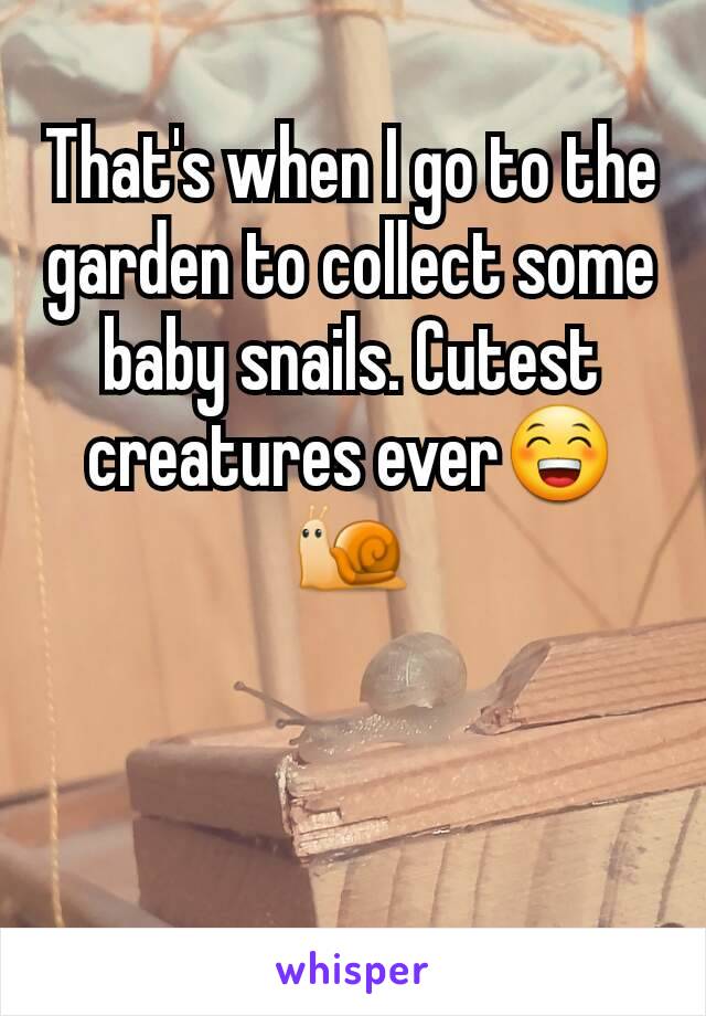 That's when I go to the garden to collect some baby snails. Cutest creatures ever😁🐌