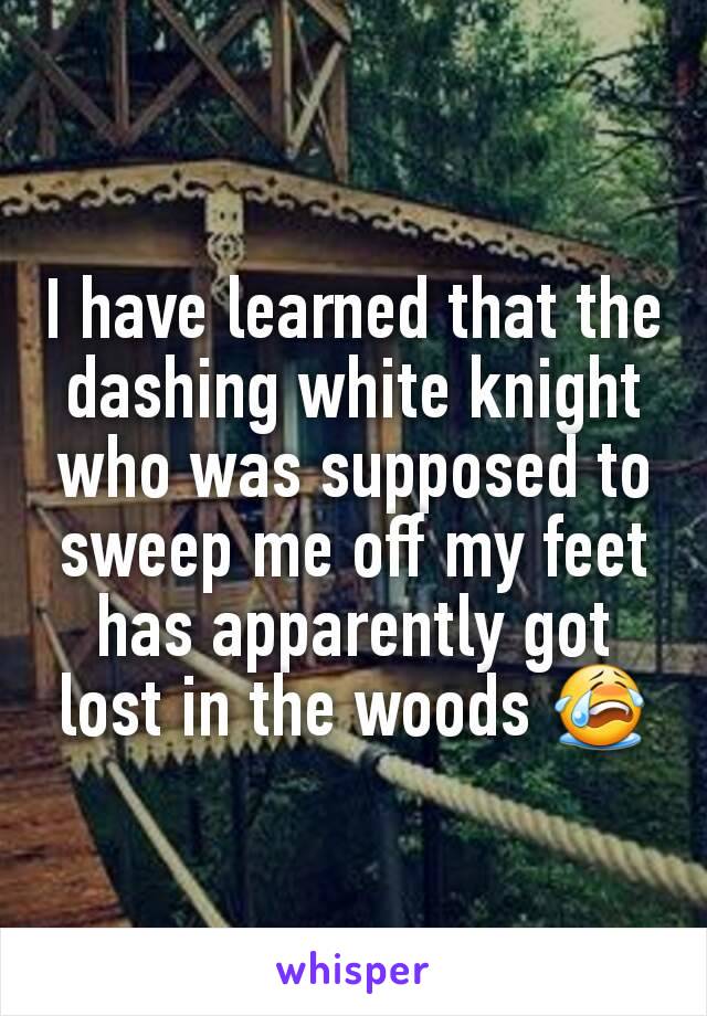 I have learned that the dashing white knight who was supposed to sweep me off my feet has apparently got lost in the woods 😭