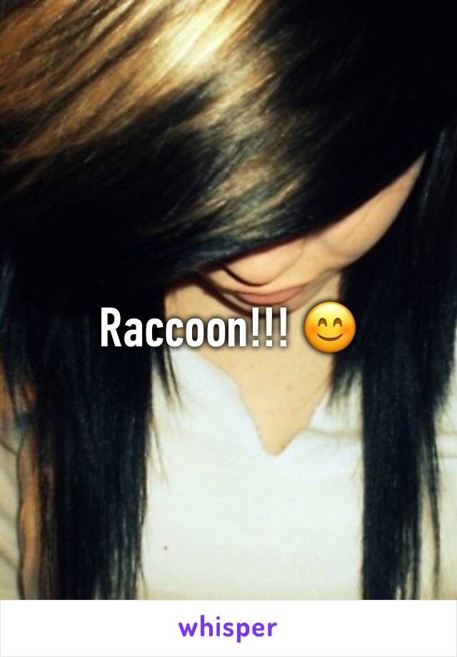 Raccoon!!! 😊