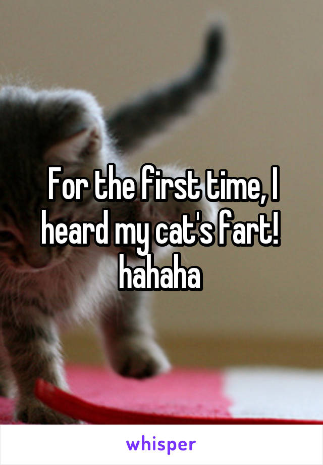 For the first time, I heard my cat's fart! 
hahaha 