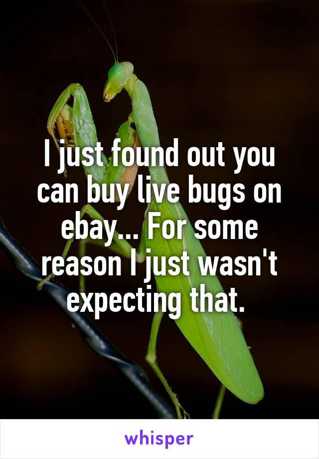 I just found out you can buy live bugs on ebay... For some reason I just wasn't expecting that. 