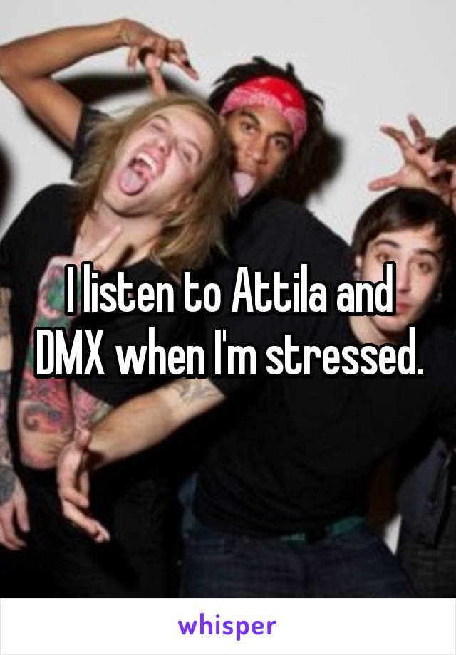 I listen to Attila and DMX when I'm stressed.