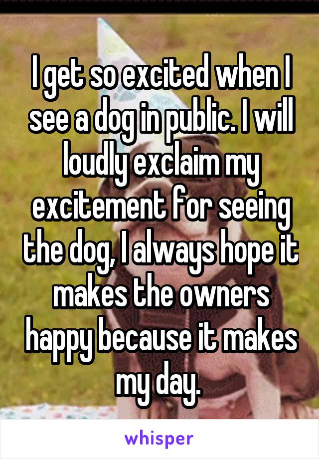 I get so excited when I see a dog in public. I will loudly exclaim my excitement for seeing the dog, I always hope it makes the owners happy because it makes my day. 