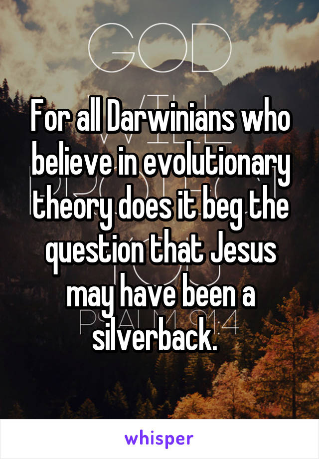 For all Darwinians who believe in evolutionary theory does it beg the question that Jesus may have been a silverback.  