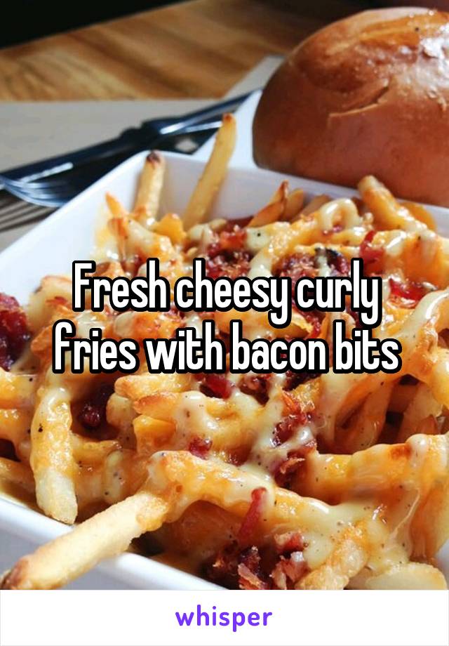 Fresh cheesy curly fries with bacon bits