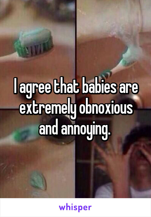 I agree that babies are extremely obnoxious and annoying. 