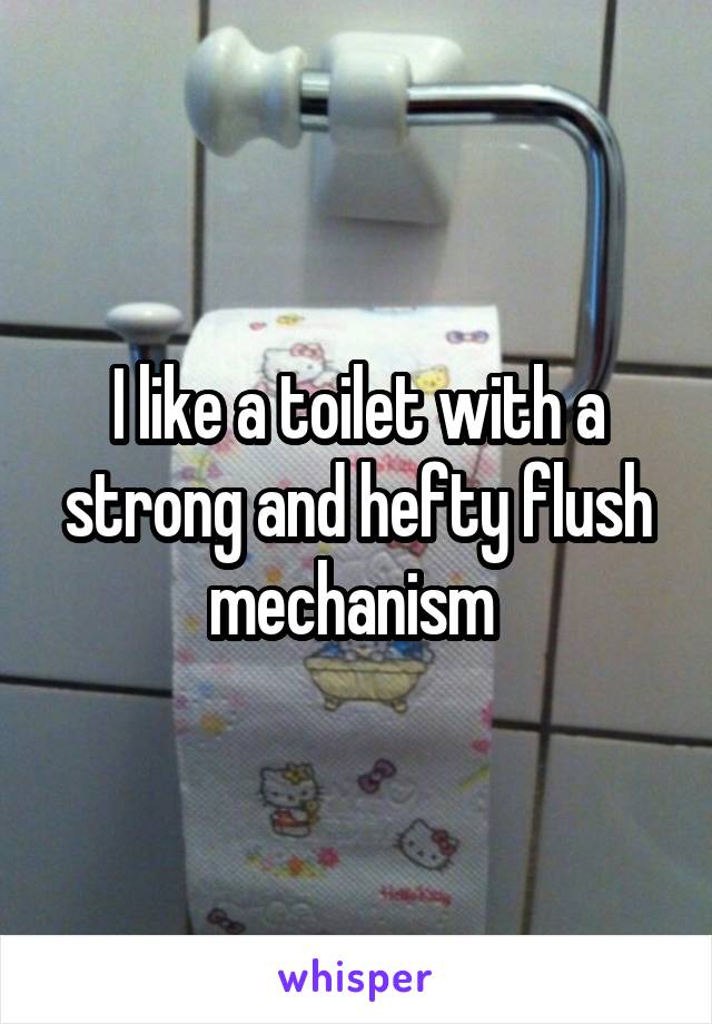 I like a toilet with a strong and hefty flush mechanism 