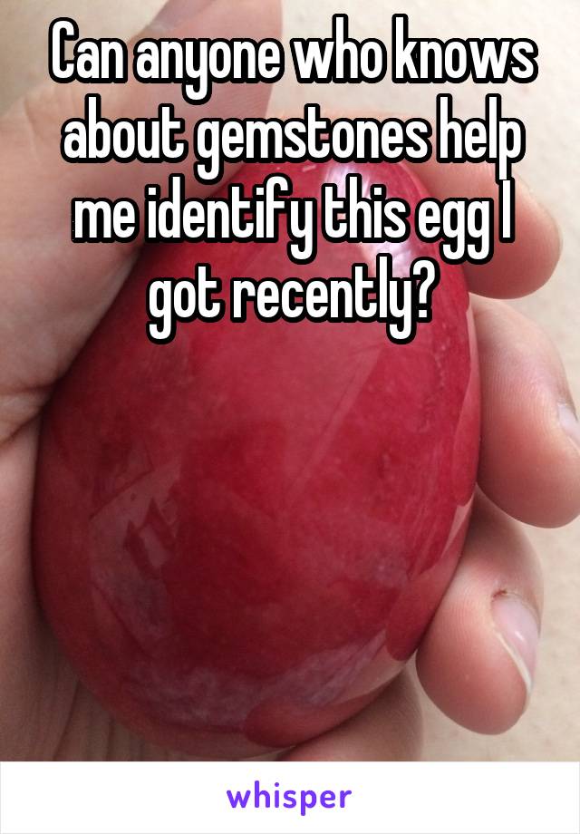 Can anyone who knows about gemstones help me identify this egg I got recently?





