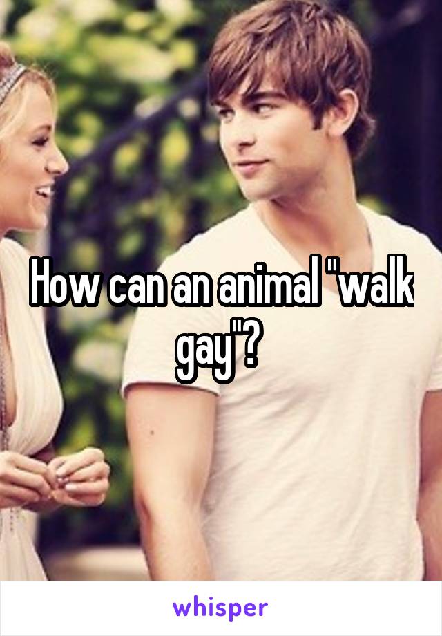 How can an animal "walk gay"? 