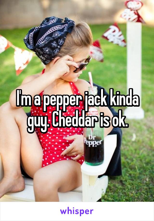 I'm a pepper jack kinda guy. Cheddar is ok.