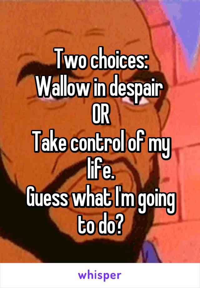 Two choices:
Wallow in despair 
OR
Take control of my life.
Guess what I'm going to do?