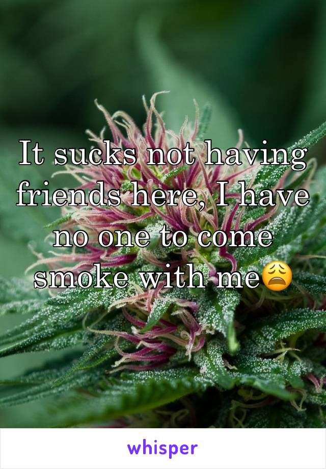 It sucks not having friends here, I have no one to come smoke with me😩