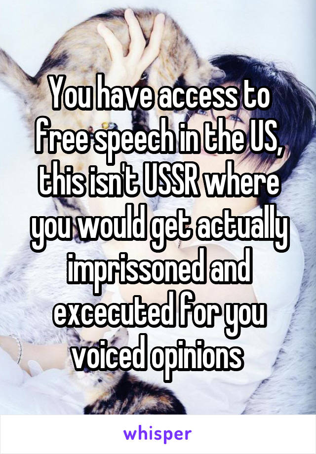 You have access to free speech in the US, this isn't USSR where you would get actually imprissoned and excecuted for you voiced opinions 