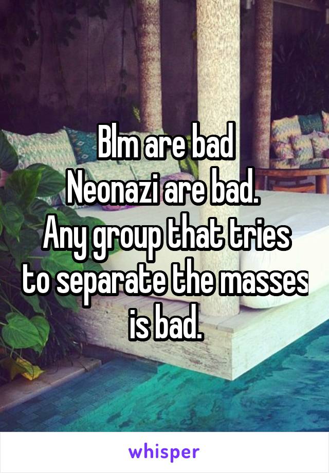 Blm are bad
Neonazi are bad. 
Any group that tries to separate the masses is bad.