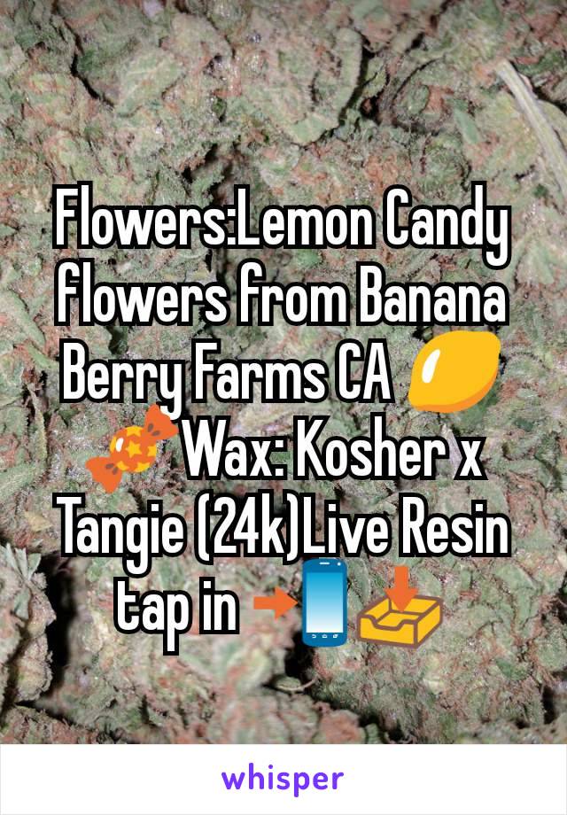 Flowers:Lemon Candy flowers from Banana Berry Farms CA 🍋🍬Wax: Kosher x Tangie (24k)Live Resin tap in 📲📥