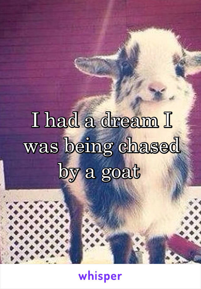 I had a dream I was being chased by a goat 