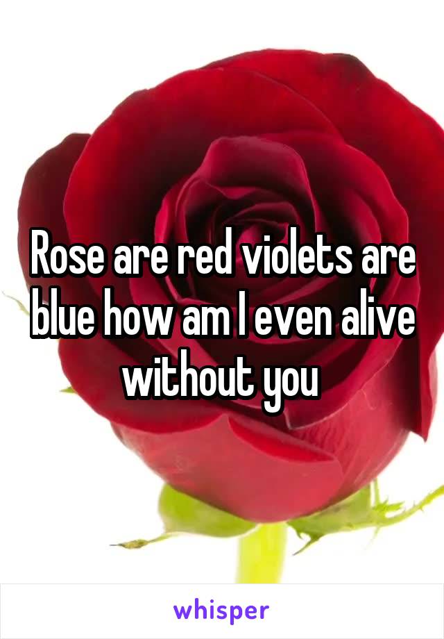Rose are red violets are blue how am I even alive without you 