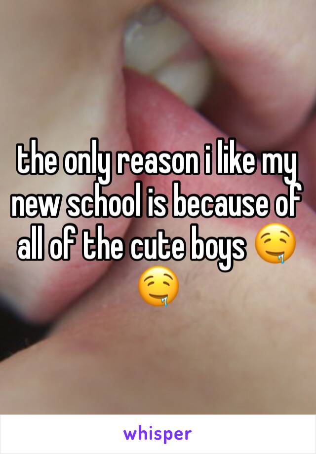 the only reason i like my new school is because of all of the cute boys 🤤🤤