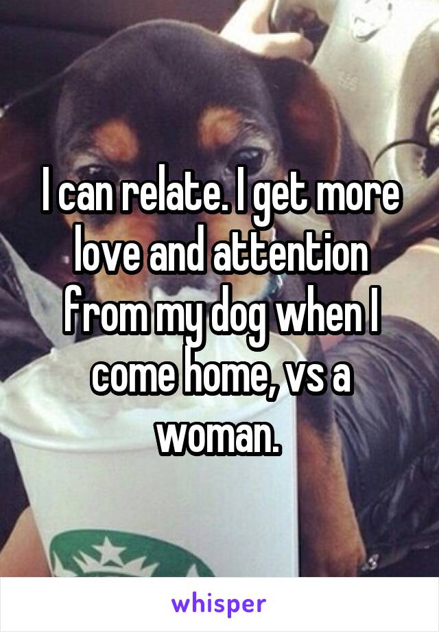I can relate. I get more love and attention from my dog when I come home, vs a woman. 