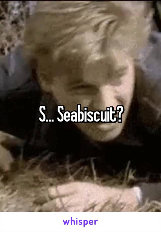 S... Seabiscuit?