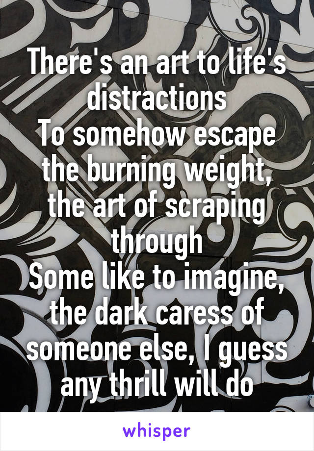 There's an art to life's distractions
To somehow escape the burning weight, the art of scraping through
Some like to imagine,
the dark caress of someone else, I guess any thrill will do