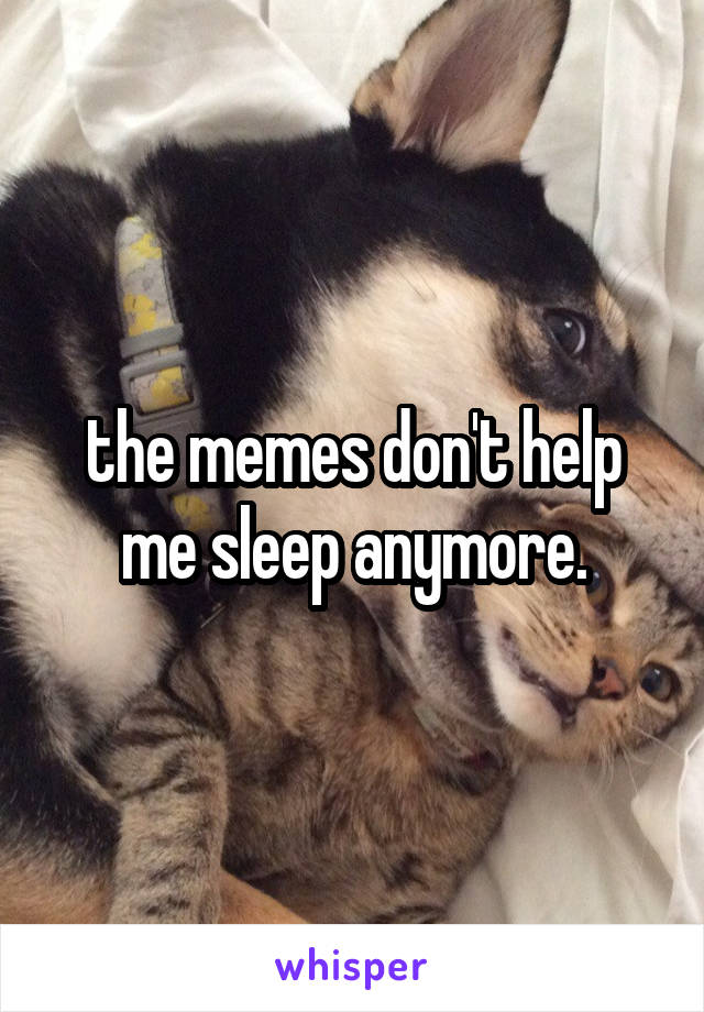 the memes don't help me sleep anymore.