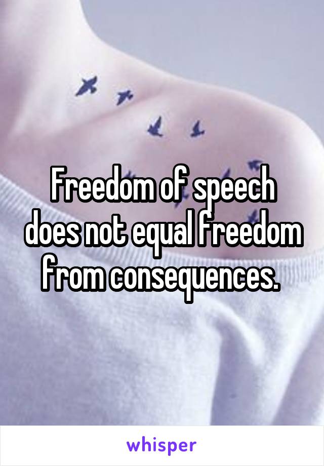 Freedom of speech does not equal freedom from consequences. 