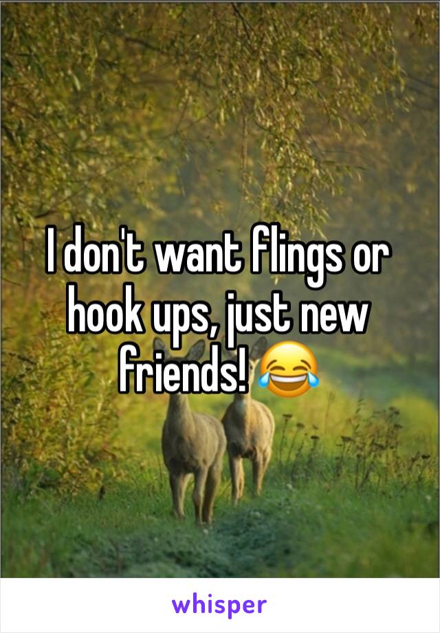 I don't want flings or hook ups, just new friends! 😂
