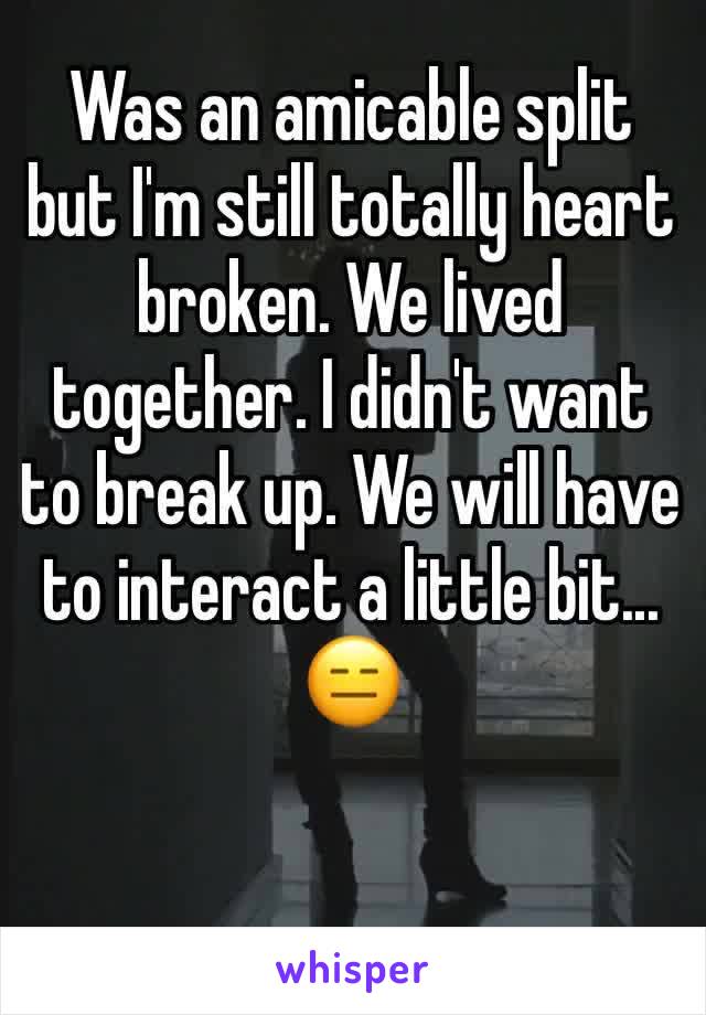 Was an amicable split but I'm still totally heart broken. We lived together. I didn't want to break up. We will have to interact a little bit... 😑