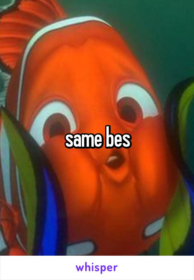same bes