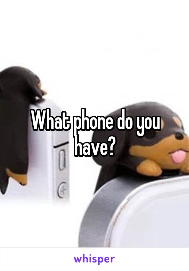 What phone do you have?