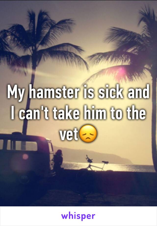 My hamster is sick and I can't take him to the vet😞