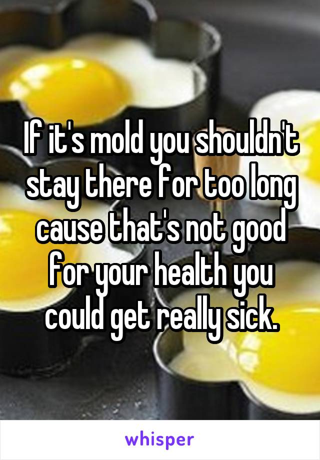If it's mold you shouldn't stay there for too long cause that's not good for your health you could get really sick.