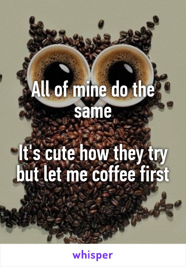 All of mine do the same

It's cute how they try but let me coffee first