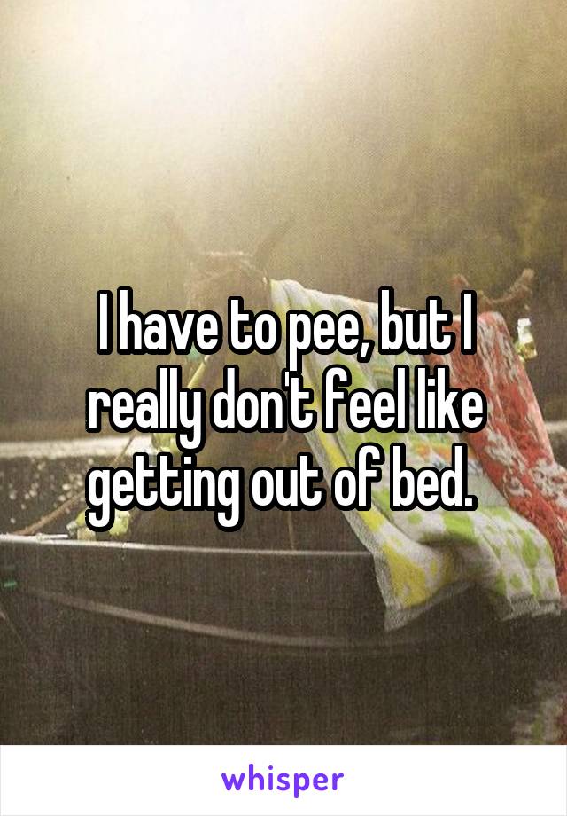 I have to pee, but I really don't feel like getting out of bed. 