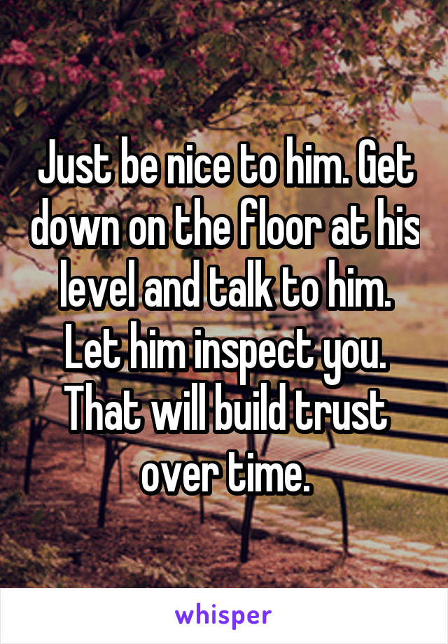 Just be nice to him. Get down on the floor at his level and talk to him. Let him inspect you. That will build trust over time.