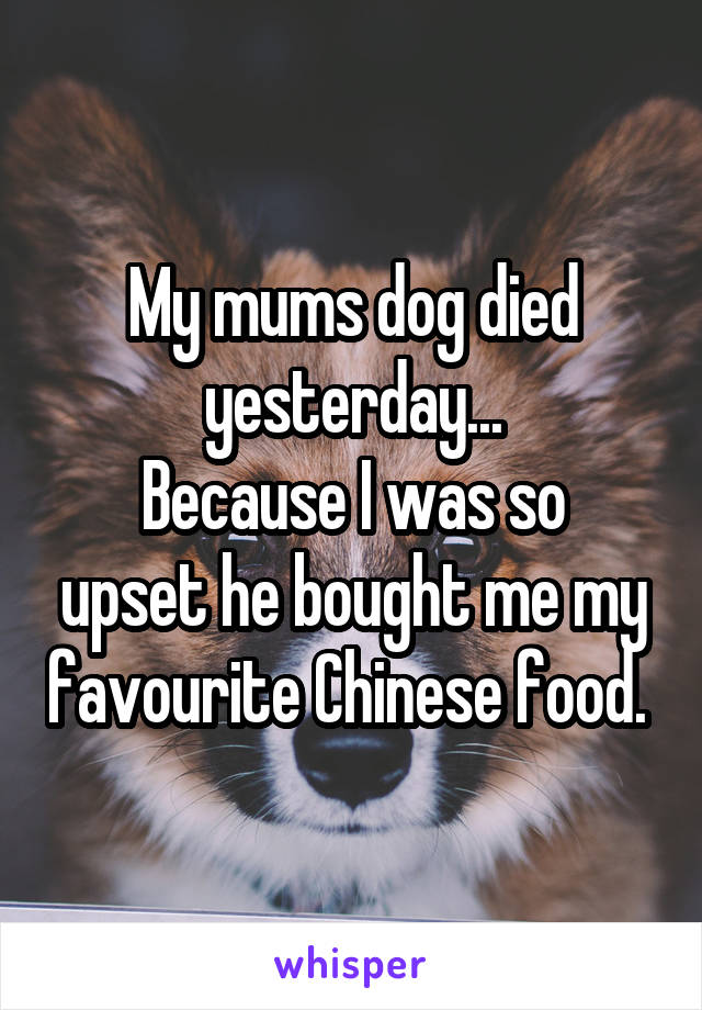 My mums dog died yesterday...
Because I was so upset he bought me my favourite Chinese food. 