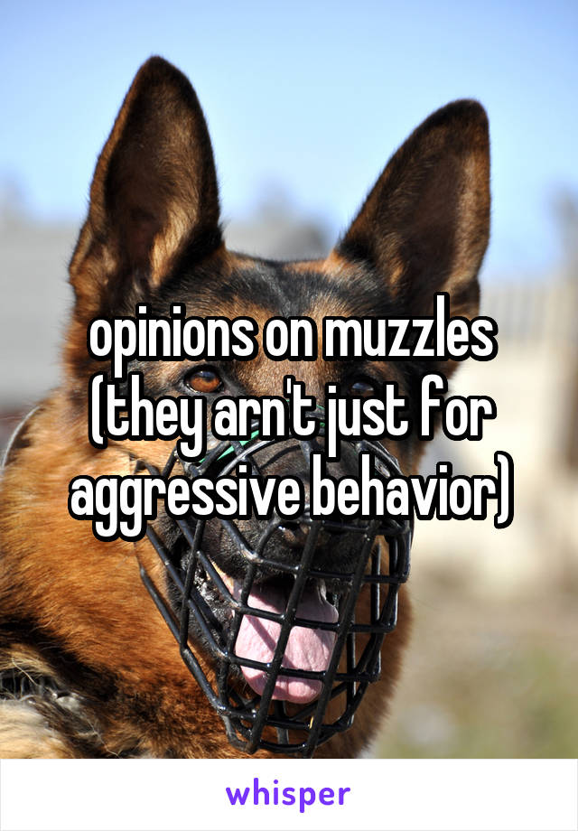 opinions on muzzles (they arn't just for aggressive behavior)