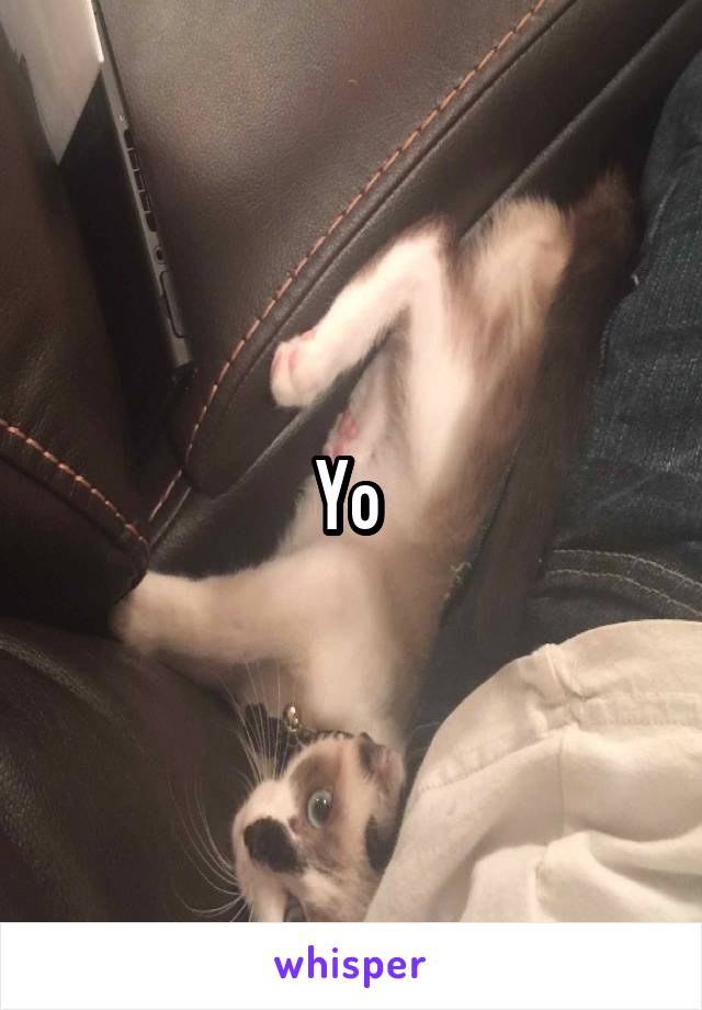 Yo 